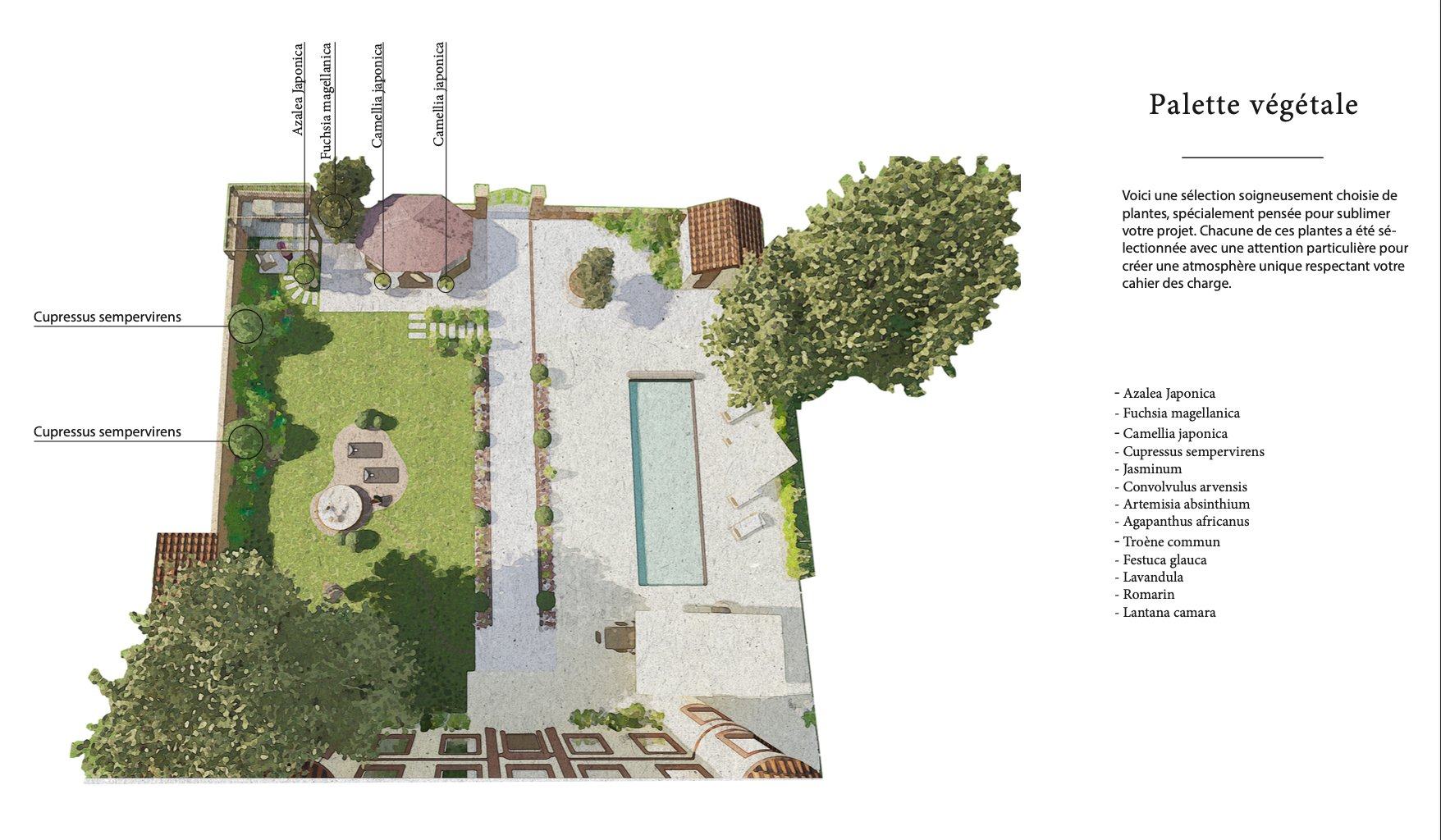 Plan masse du jardin et palette végétale
